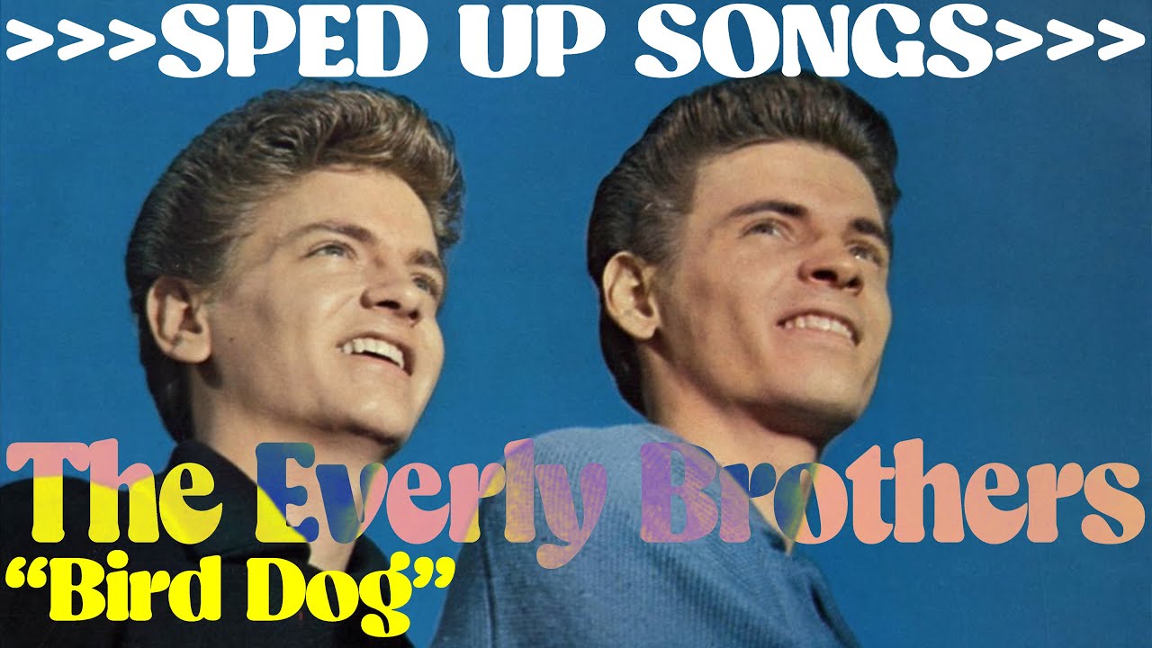 The Everly Brothers - "Bird Dog'" }}}}}}}SPED UP SONGS}}}}}}} 🎶🐿️🎶 -  YouTube